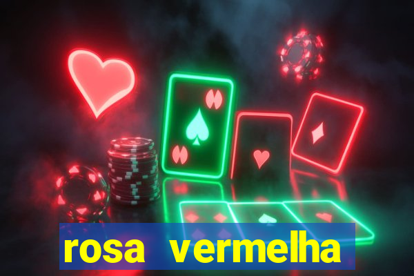 rosa vermelha (letra e cifra)